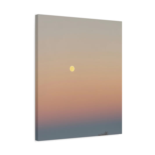 Colorful Moon Canvas Print