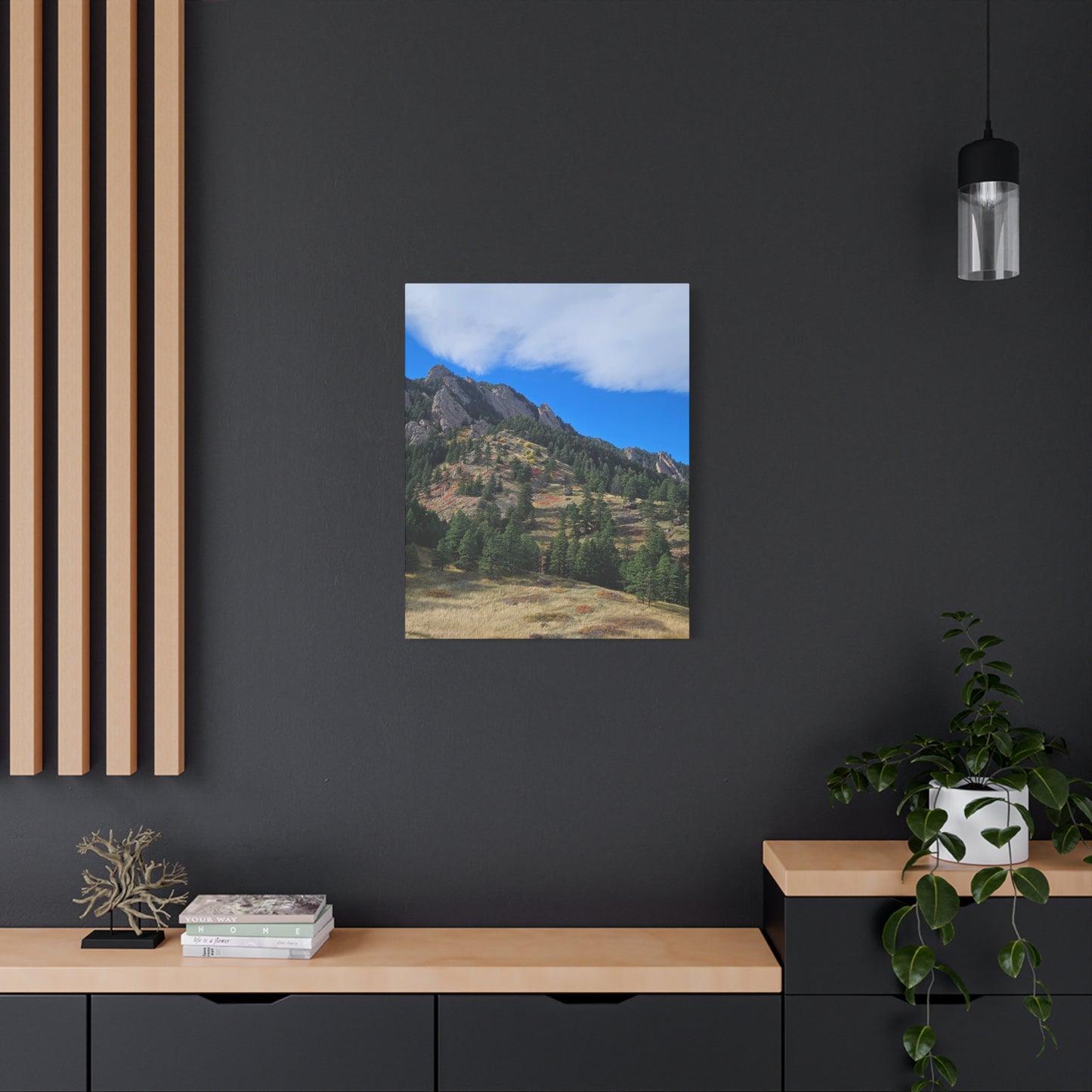Flatirons Nature Canvas Print