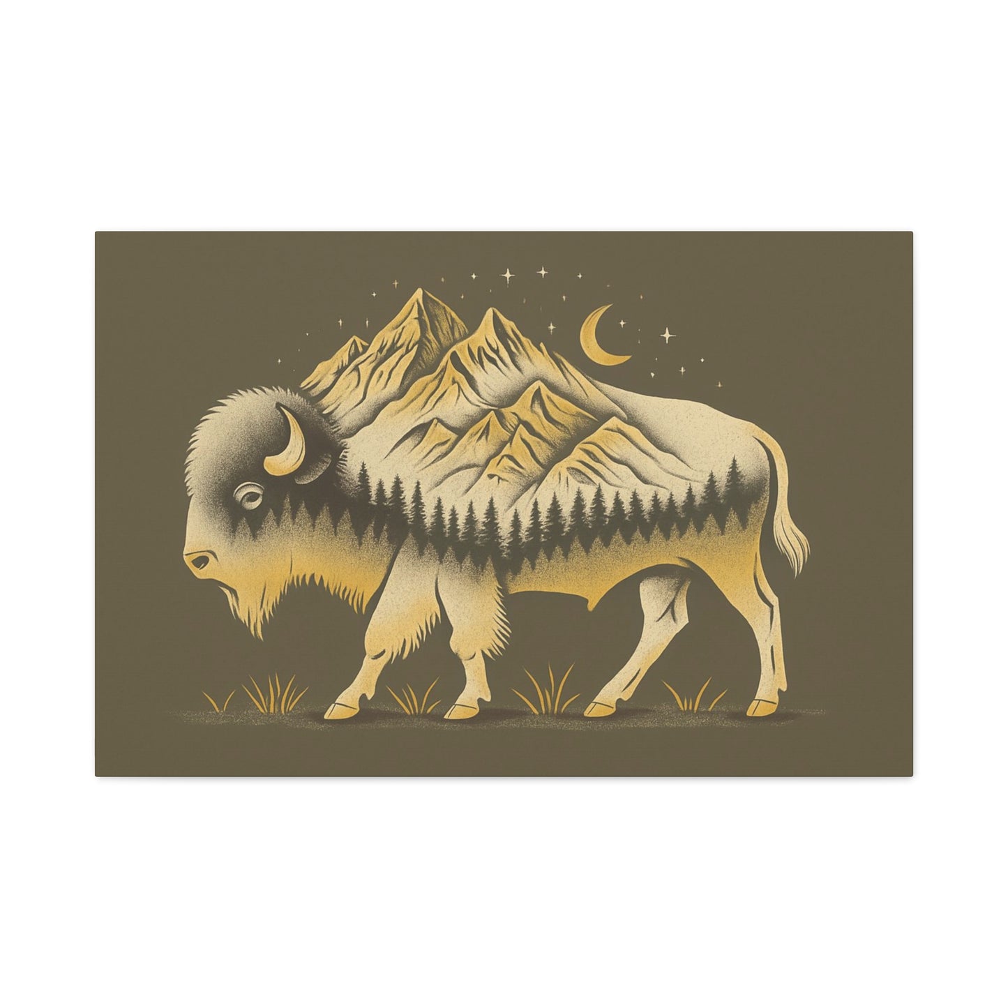 Abstract Boulder Colorado Mountain Buffalo Canvas Print