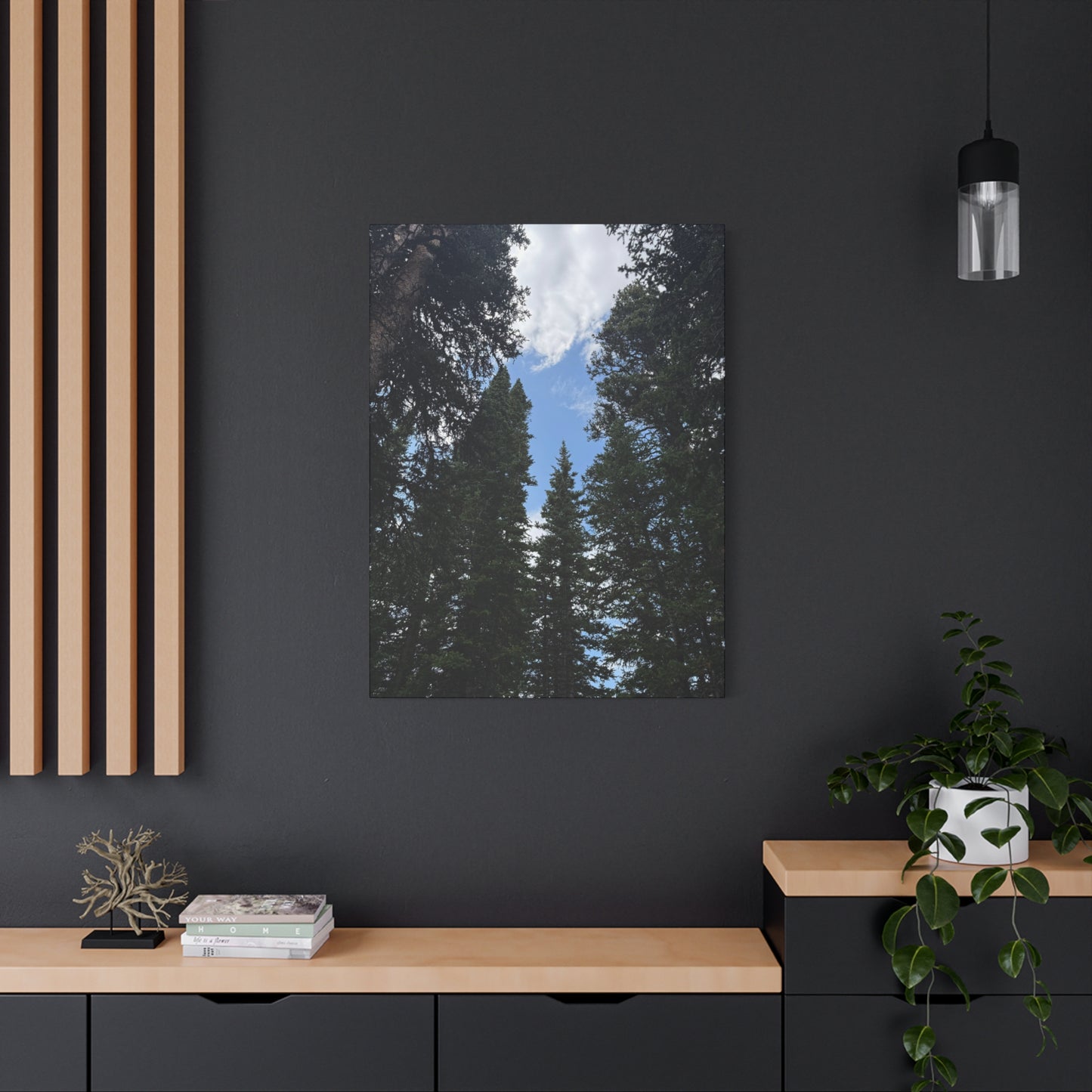 Pine Trees Blue Sky Canvas Print