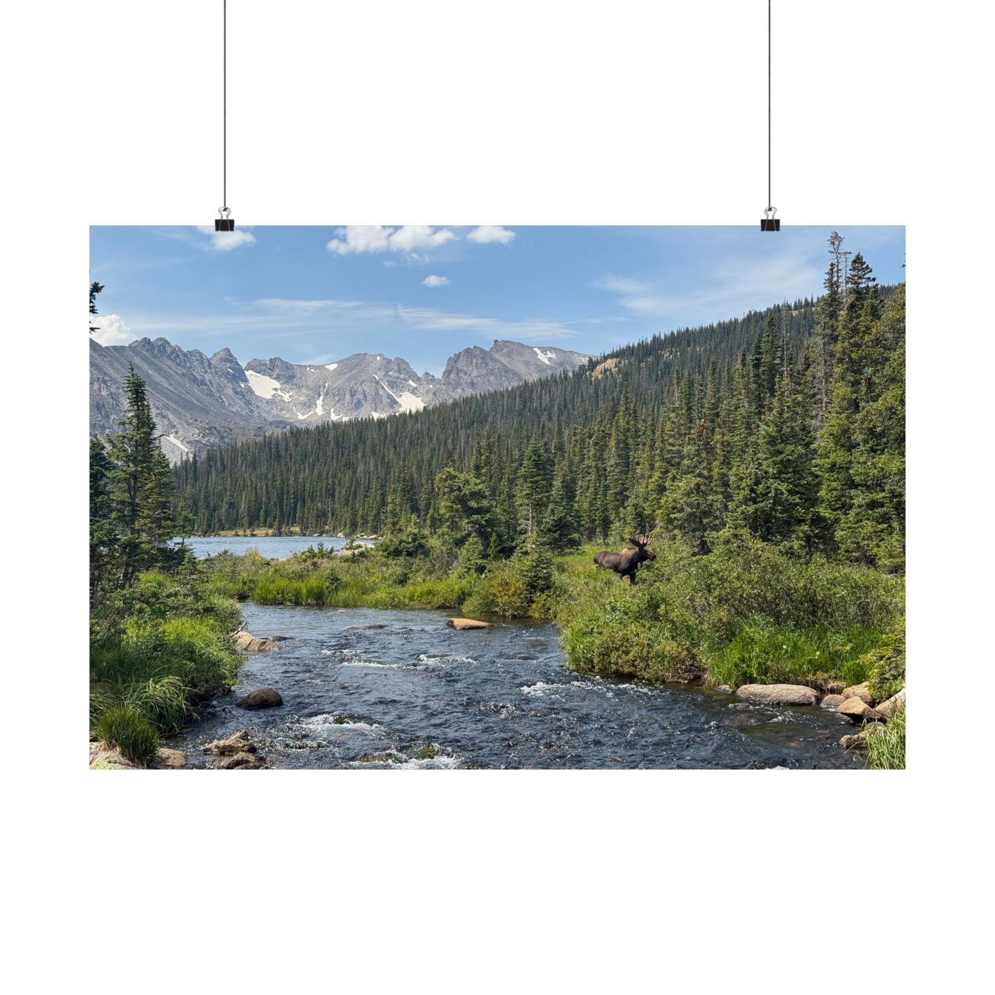 Moose in Nature Print