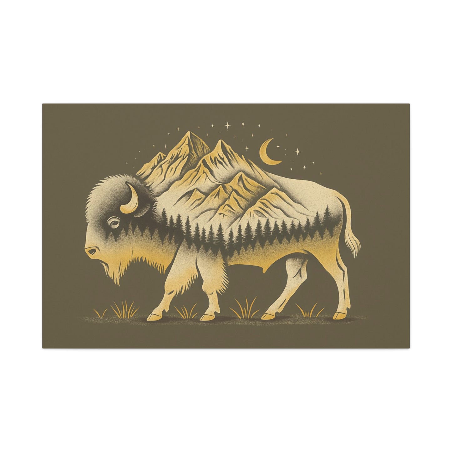 Abstract Boulder Colorado Mountain Buffalo Canvas Print