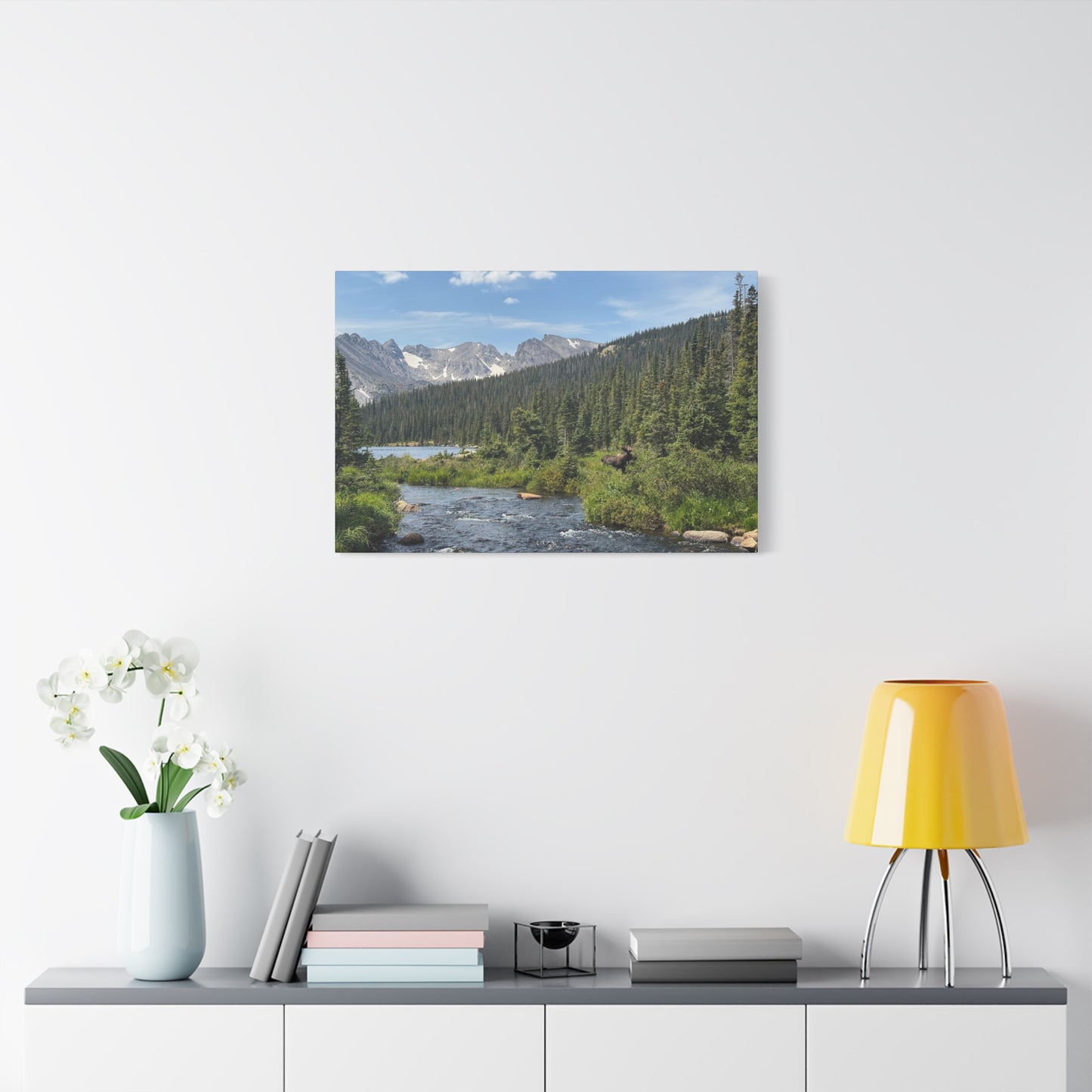 Moose in Nature Canvas Print