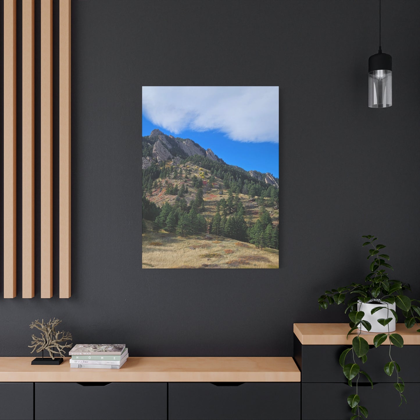 Flatirons Nature Canvas Print