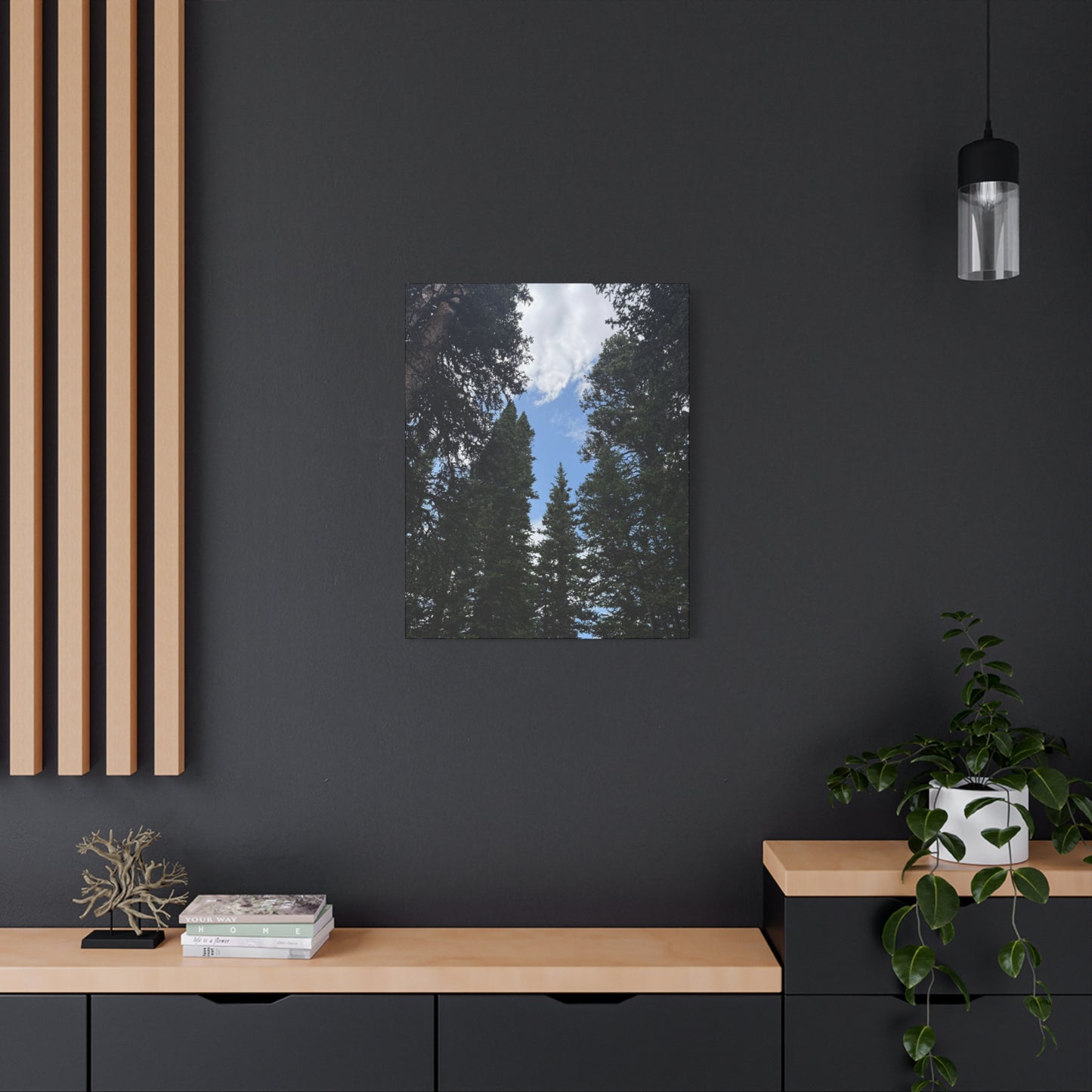 Pine Trees Blue Sky Canvas Print