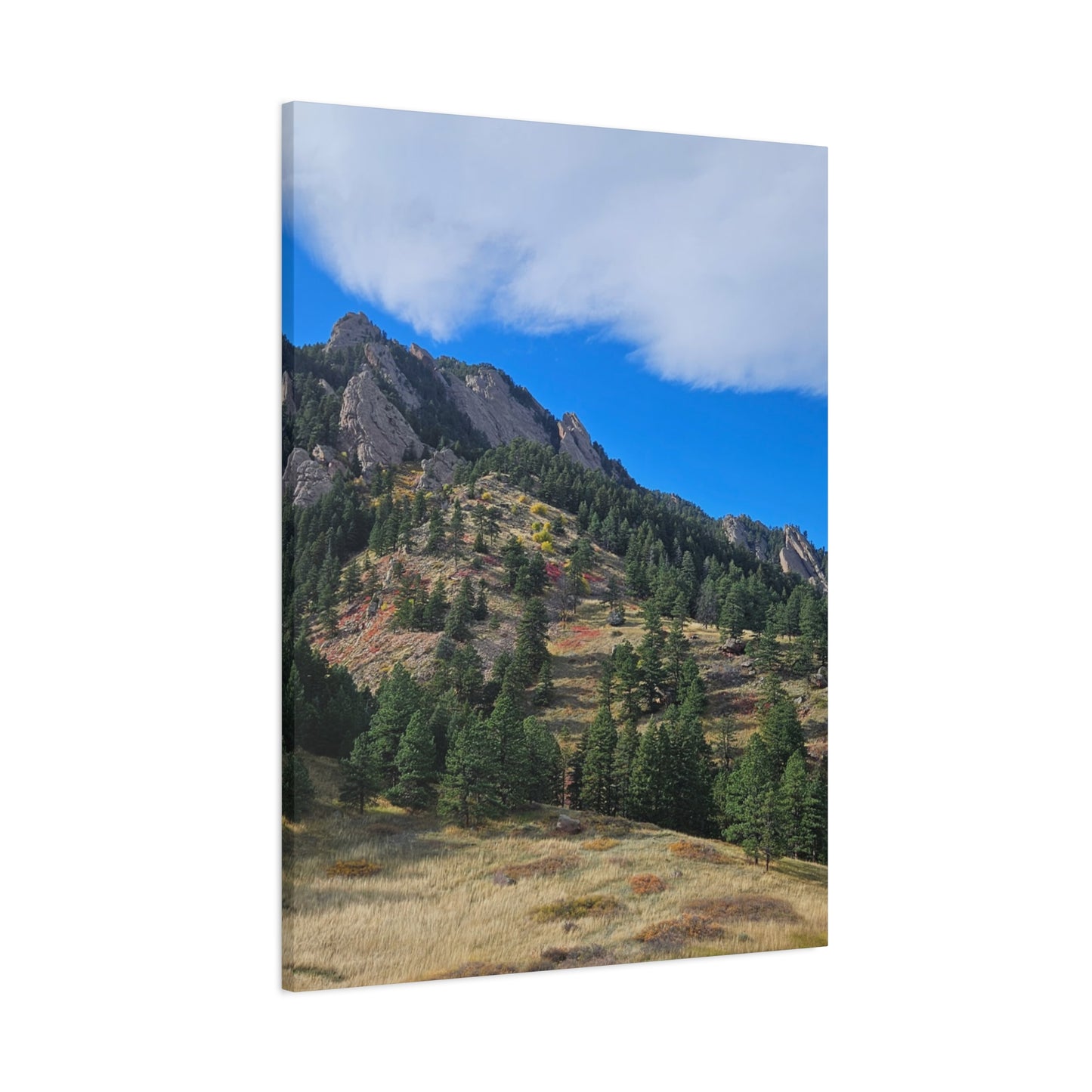 Flatirons Nature Canvas Print