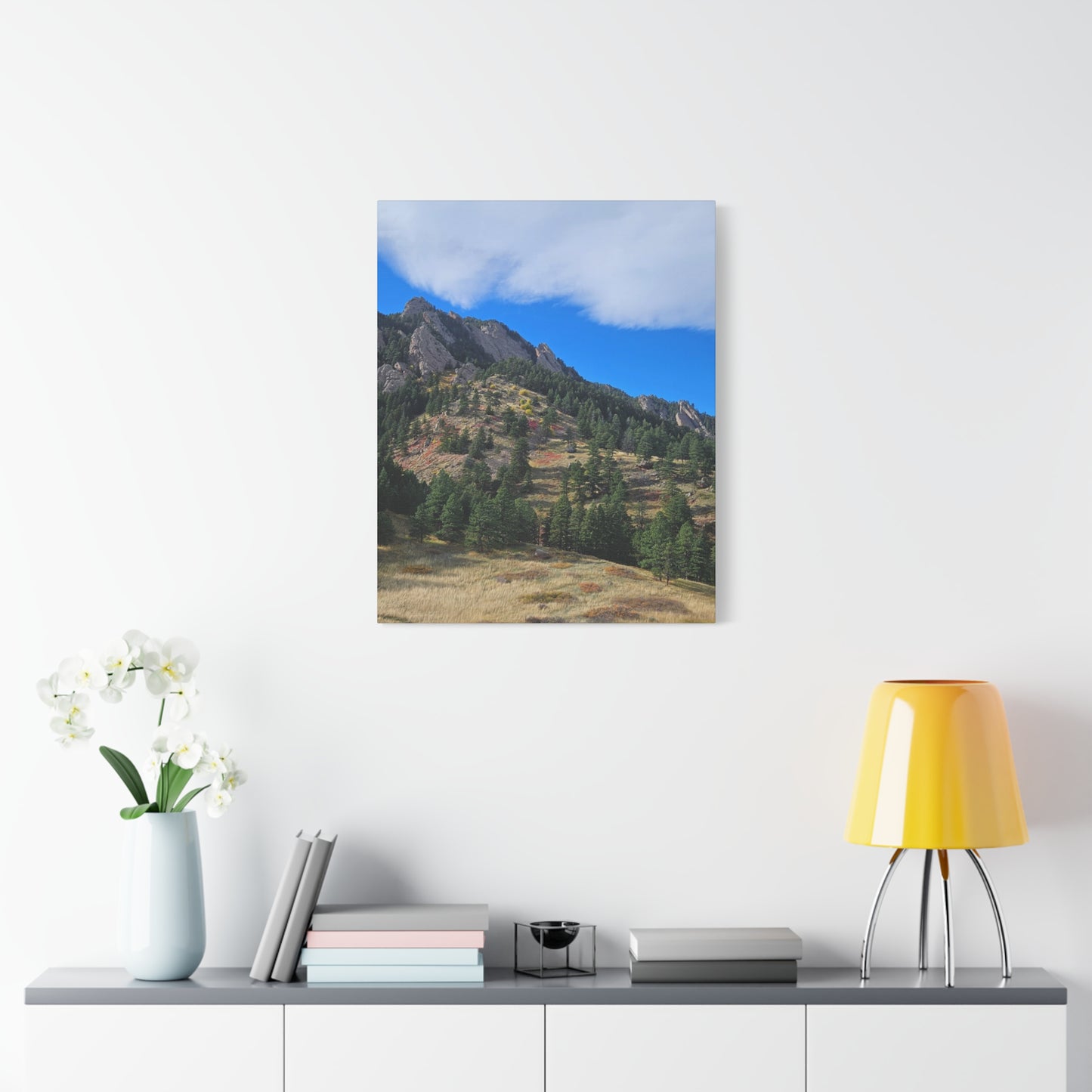 Flatirons Nature Canvas Print