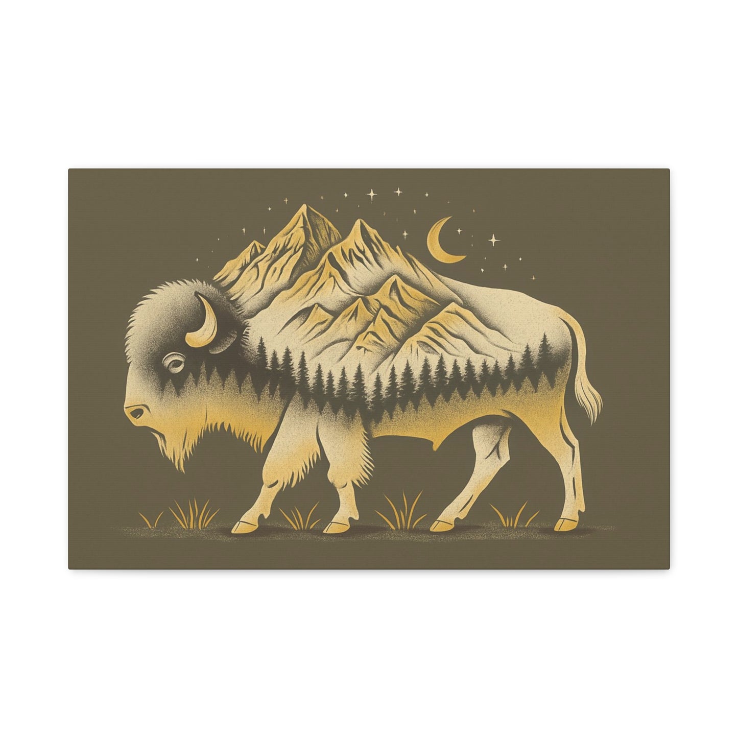 Abstract Boulder Colorado Mountain Buffalo Canvas Print