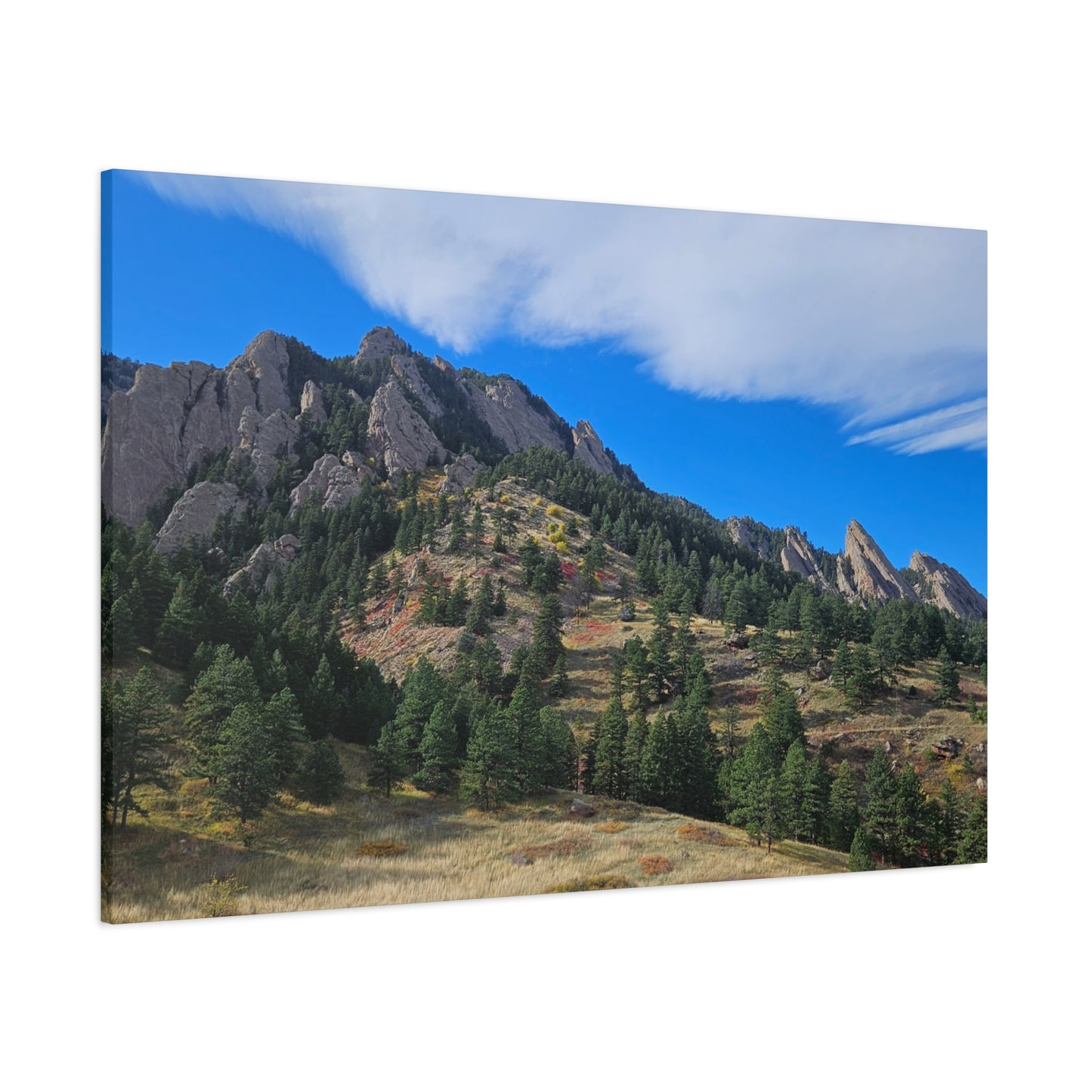 Flatirons Nature Canvas Print