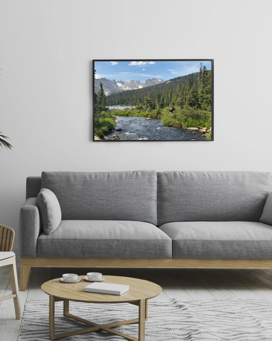 Moose in Nature Print