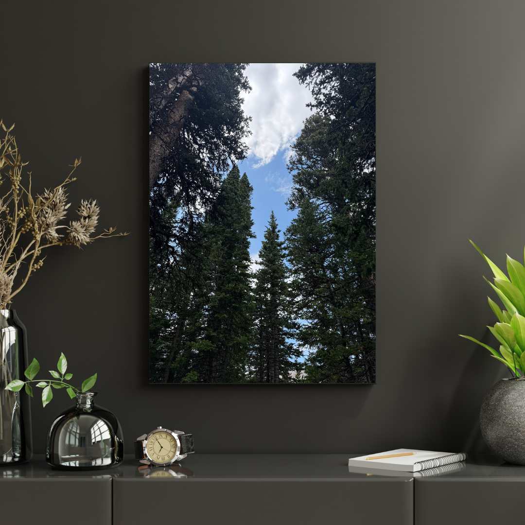 Pine Trees Blue Sky Print