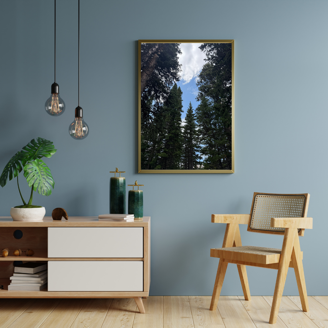 Pine Trees Blue Sky Print