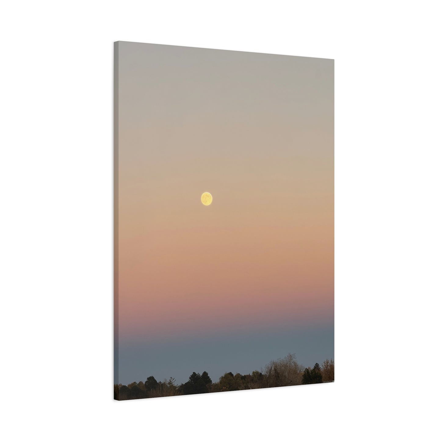 Colorful Moon Canvas Print
