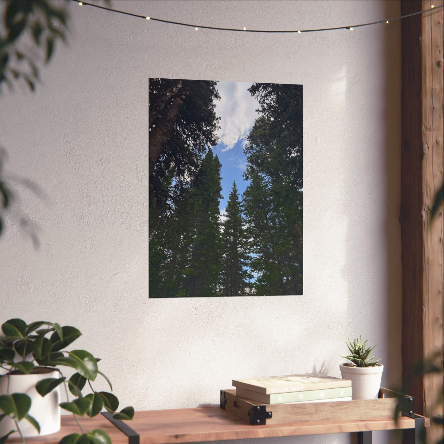 Pine Trees Blue Sky Print