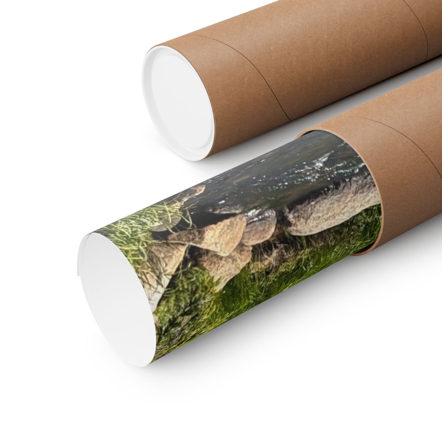 Moose in Nature Print