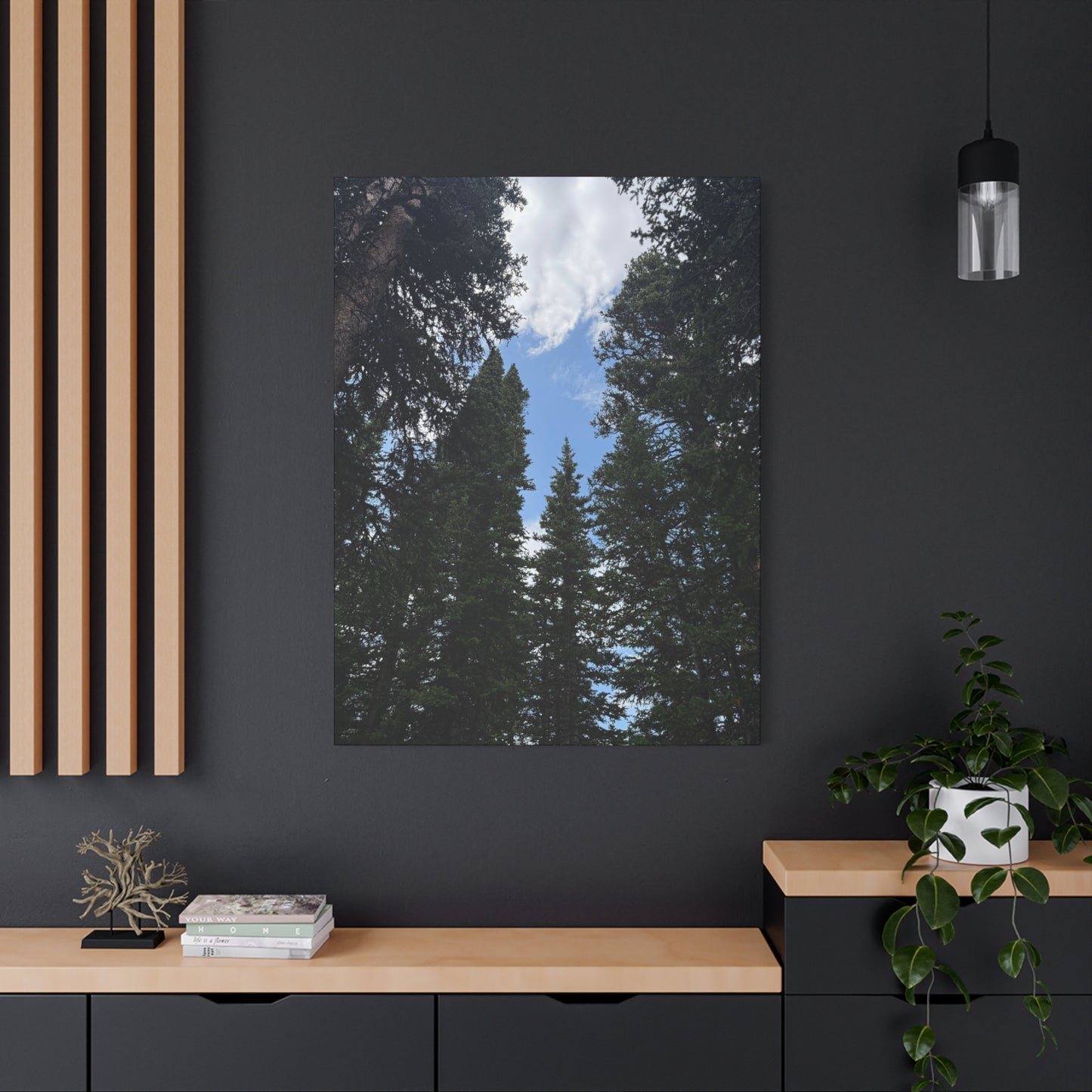 Pine Trees Blue Sky Canvas Print