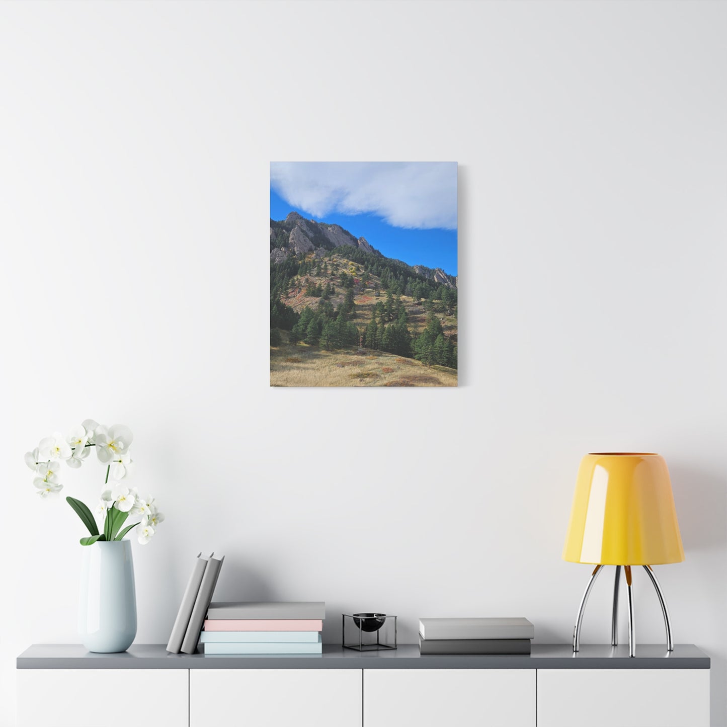 Flatirons Nature Canvas Print