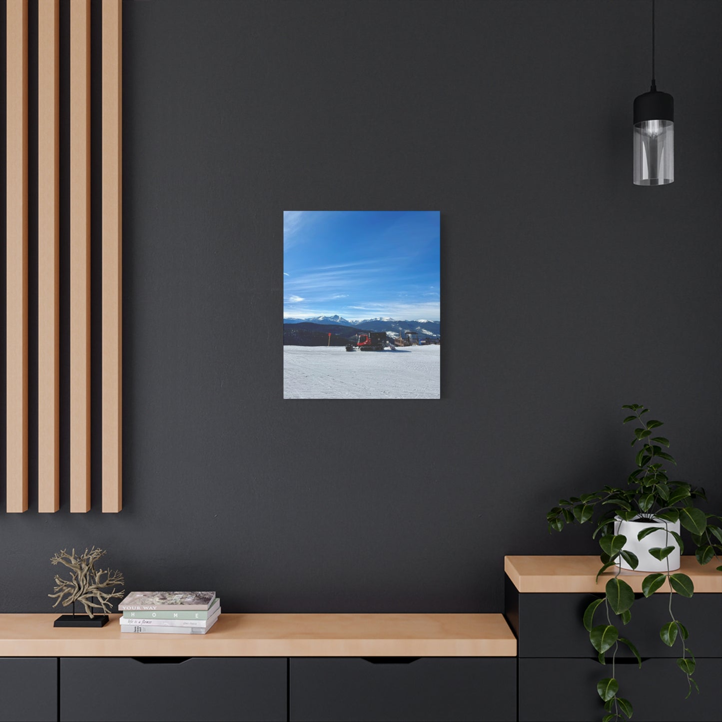 Snowcat On The Mountains Canvas Print