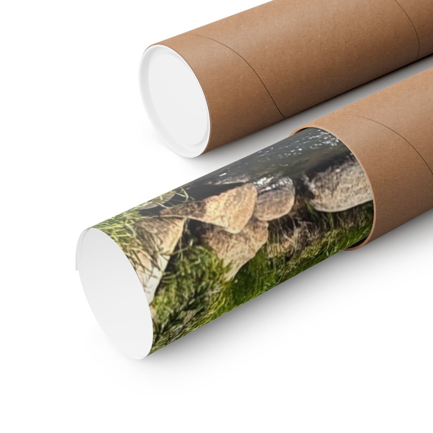 Moose in Nature Print