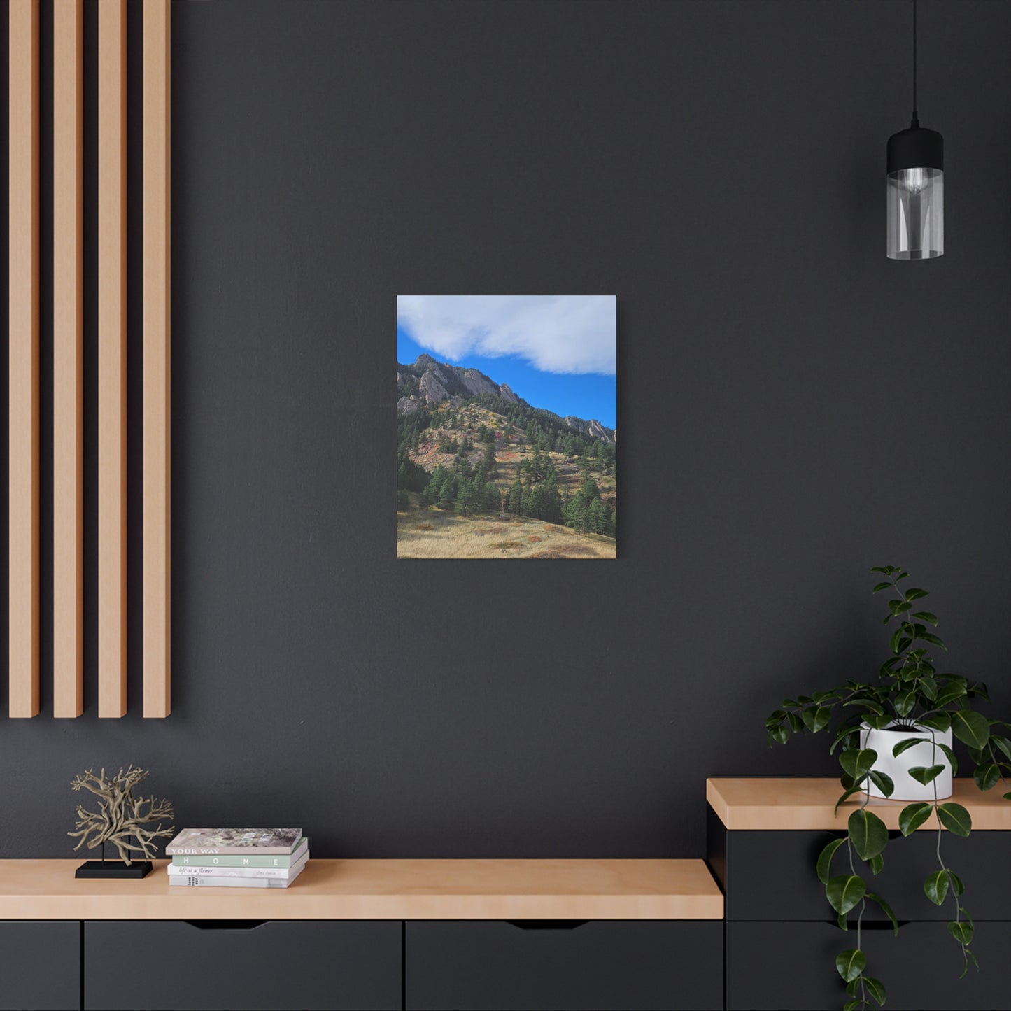 Flatirons Nature Canvas Print