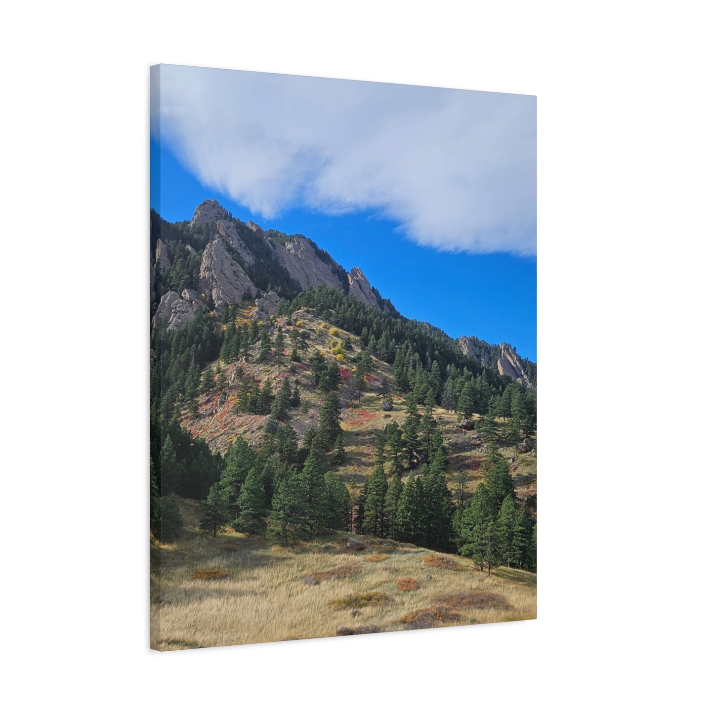 Flatirons Nature Canvas Print