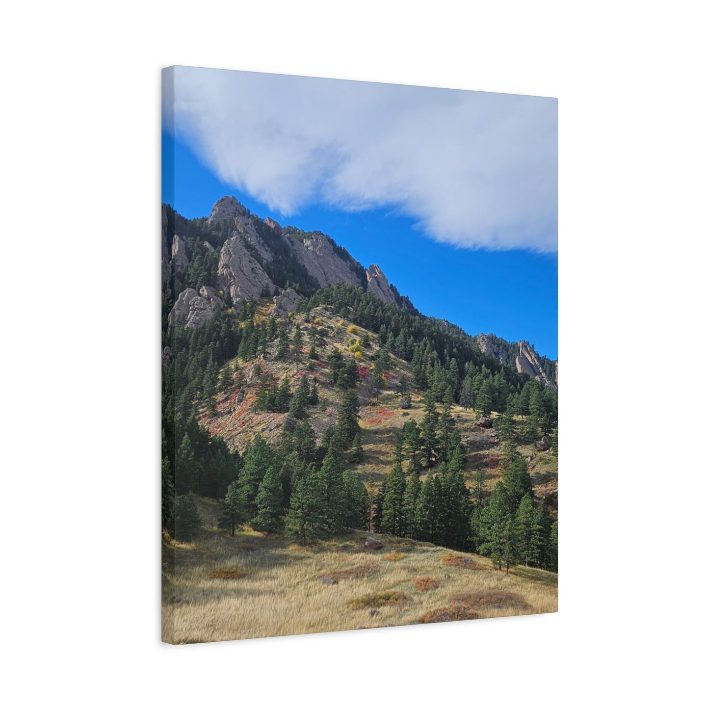 Flatirons Nature Canvas Print