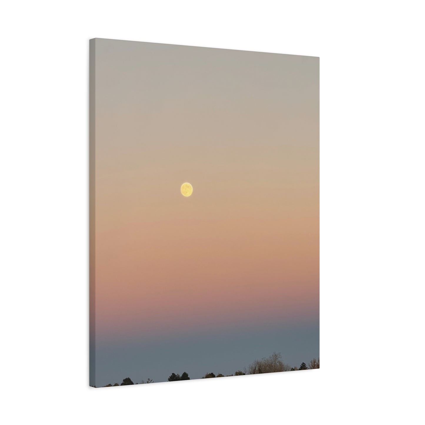 Colorful Moon Canvas Print